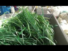 محطم مواد ناعمة ذو محور واحد