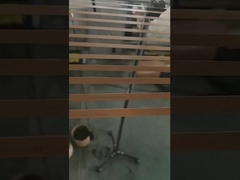 خط إنتاج أشرطة الورق الصديقة للبيئة / خط تصنيع / آلة تصنيع 5mm / 9mm / 12mm